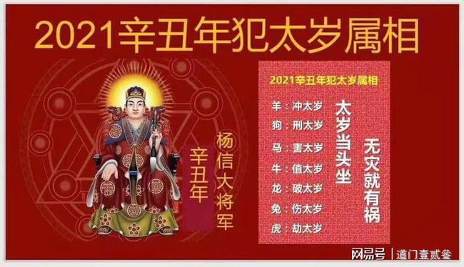 太岁是什么东西有啥用_太岁是什么东西呀_太岁口服液是什么东西