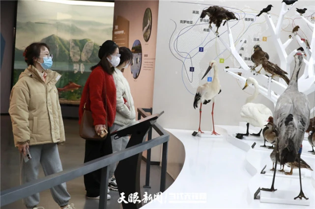 猪交所_美国女人与猪交视频/_猪交