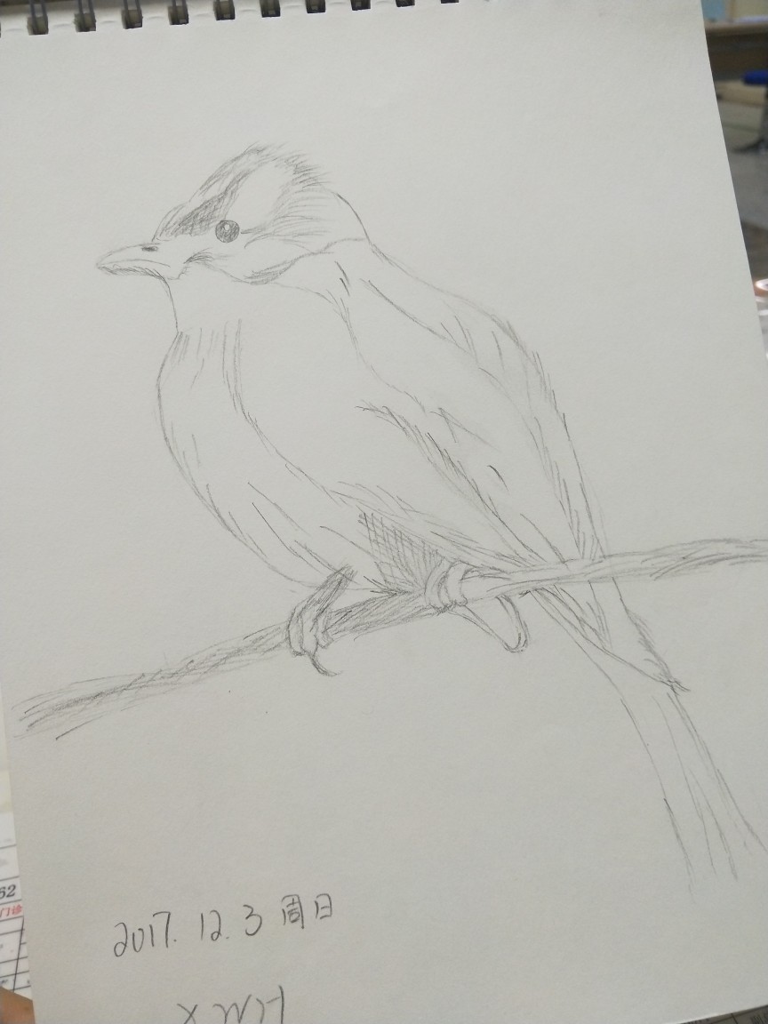 画画游戏_画画游戏自己画_画画游戏叫什么名字