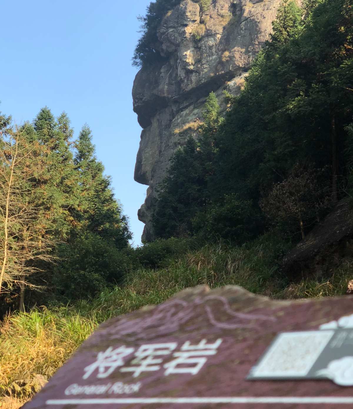 绿宝石493神柱王_神柱王_绿宝石721神柱王