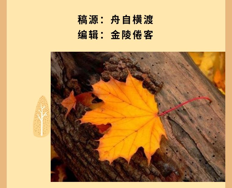 诗歌交流的正确顺序_诗歌交流中与丘丘人交流成功_诗歌交流