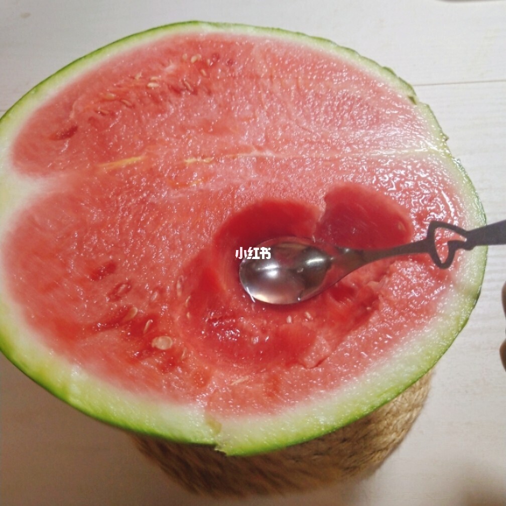 西瓜游戏_西瓜游戏官网_西瓜游戏队长恐怖躲猫猫3