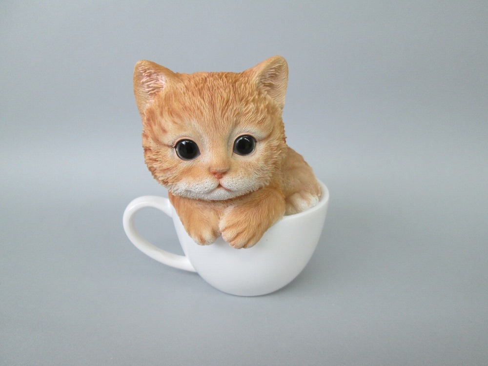迷你猫_迷你猫咪图片_迷你猫儿