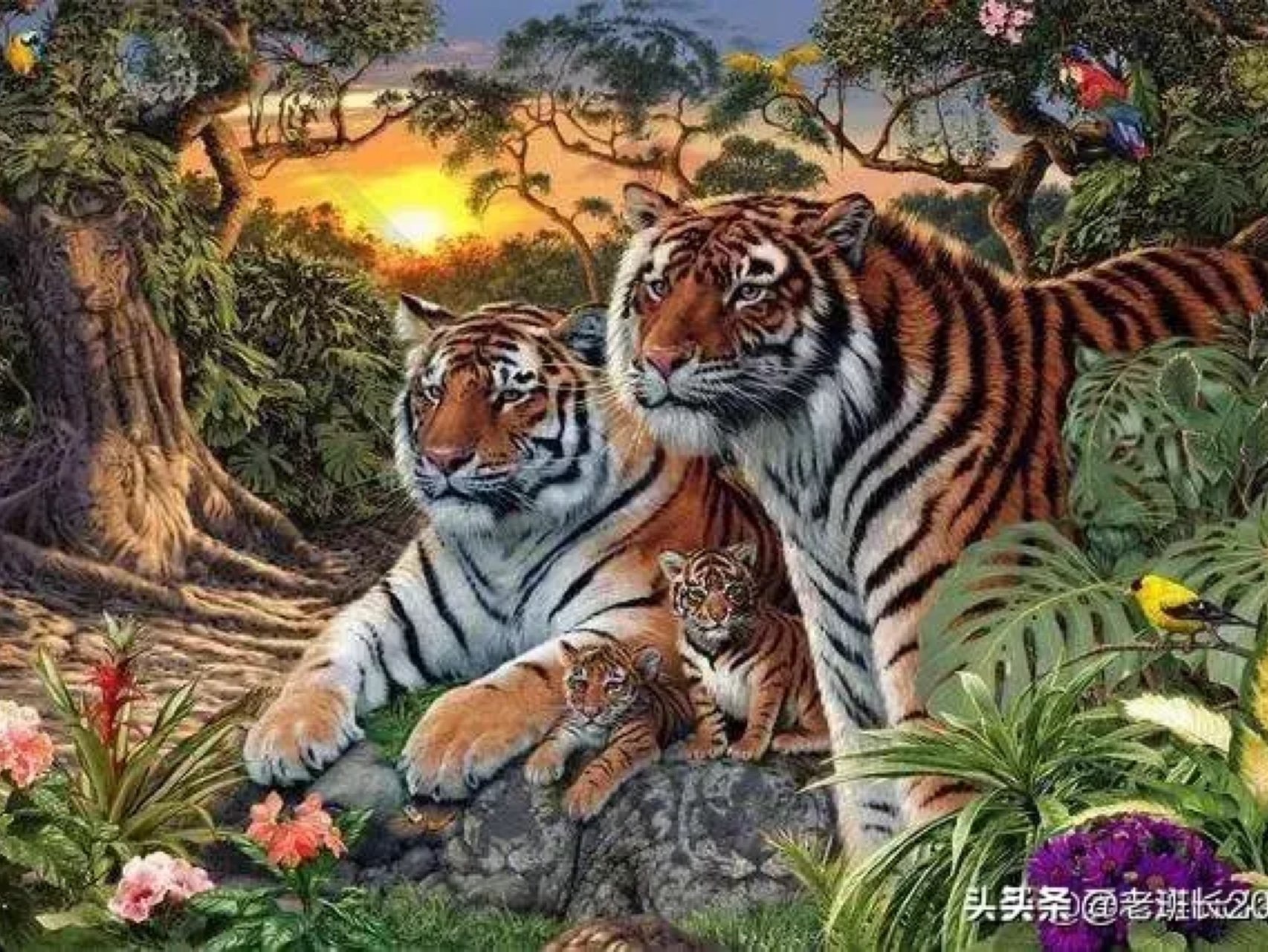 老虎游戏手机验证码_老虎接码短信验证码平台_老虎账号一天能发几次验证码