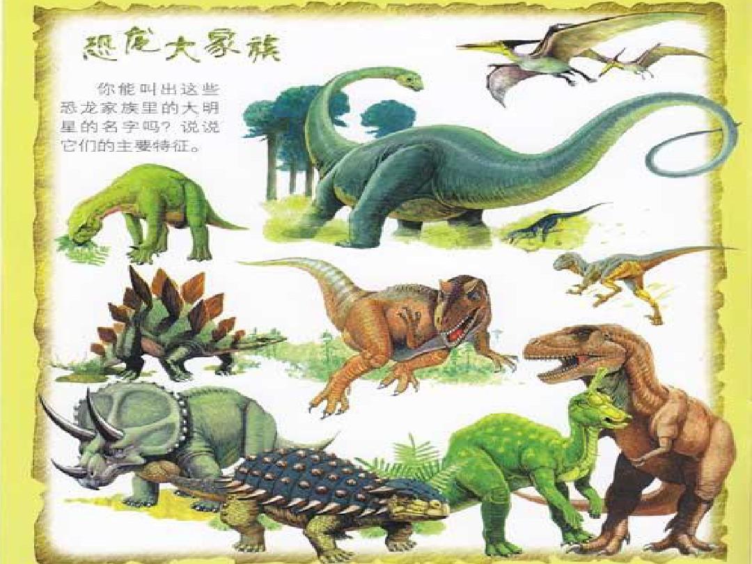 恐龙游戏儿童手机游戏_恐龙手机游戏_恐龙游戏儿童版