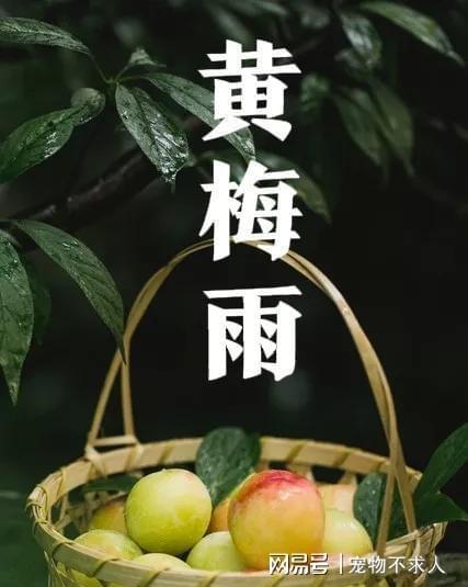梅雨天气在几月份_天气月份梅雨怎么形容_梅雨天气是几月到几月