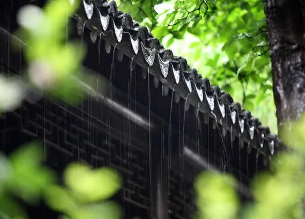 天气月份梅雨怎么形容_梅雨天气是几月到几月_梅雨天气在几月份