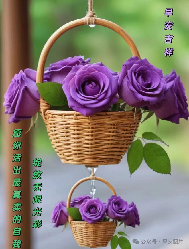 玛尔济斯_玛尔济斯_玛尔济斯