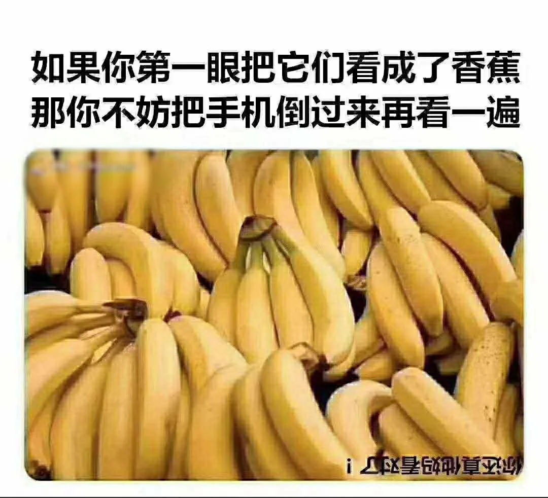 小奇葩解说_解说奇葩手机游戏的博主_奇葩游戏解说视频