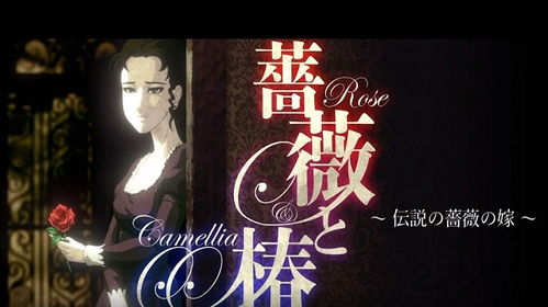 蔷薇书院手机版 